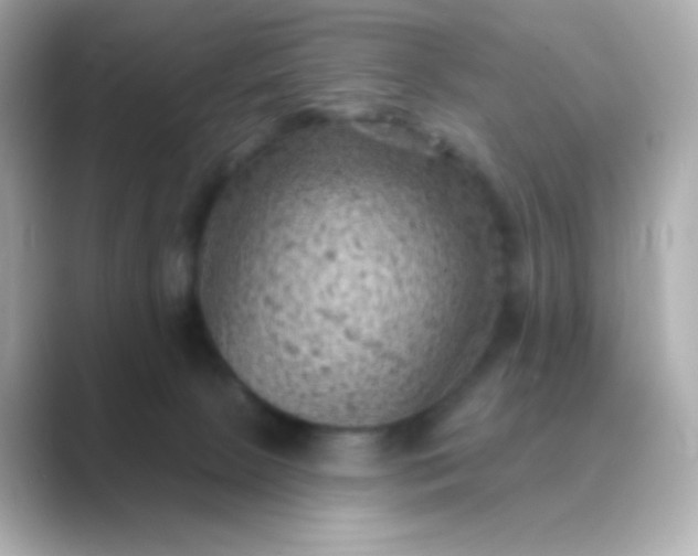 X0000088830081200706211822