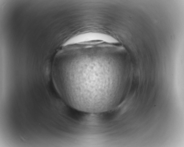 X0000088830082200706211822