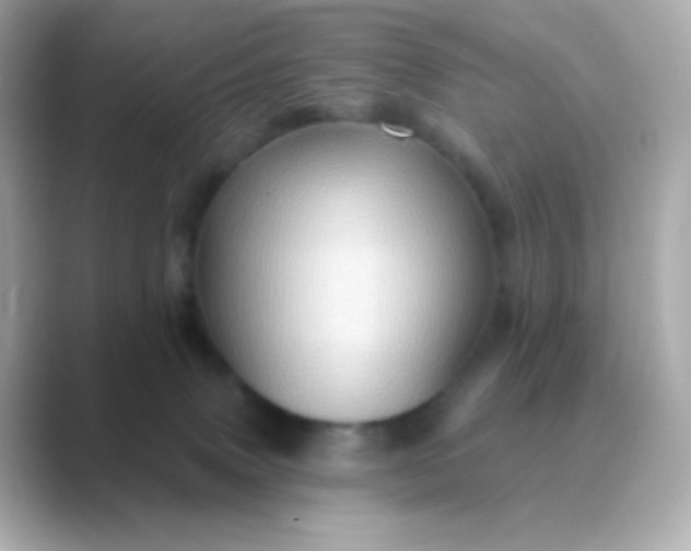 X0000088830083200706211822