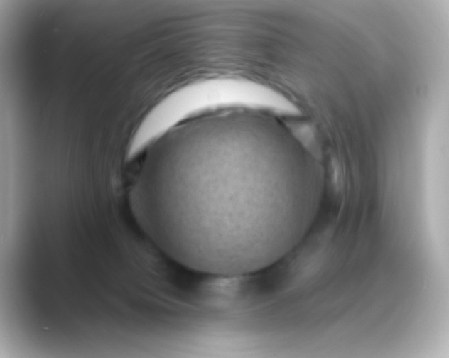 X0000088830084200706211822