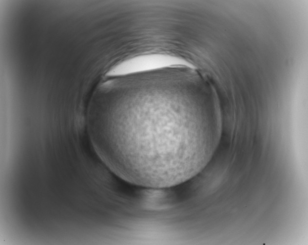 X0000088830085200706211822