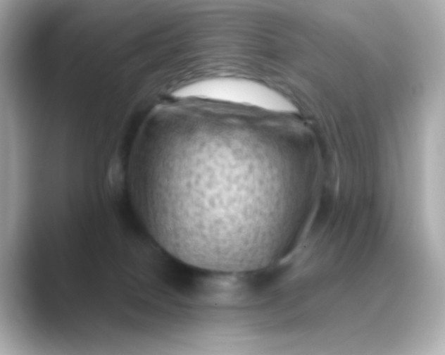 X0000088830086200706211822