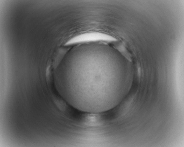 X0000088830088200706211822