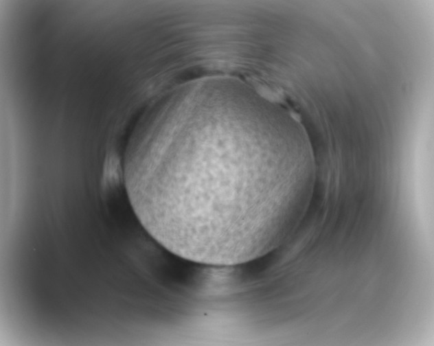 X0000088830089200706211822