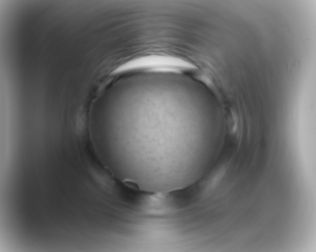 X0000088830092200706211822