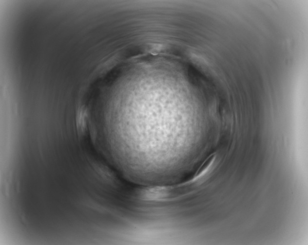 X0000088830094200706211822