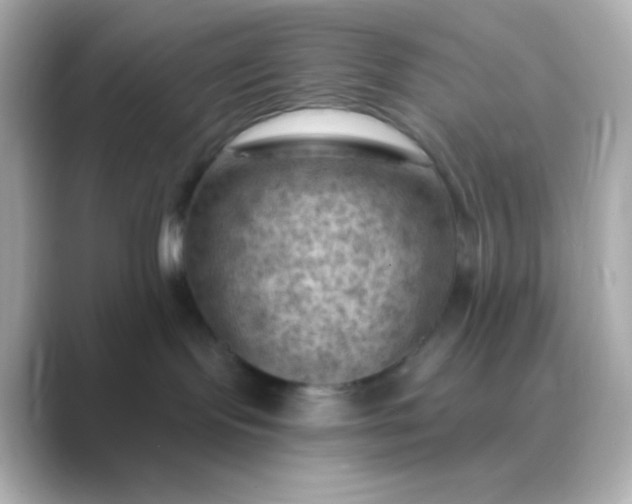 X0000088830095200706211822