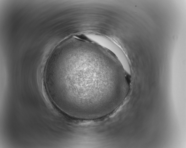 X0000088830097200706211822