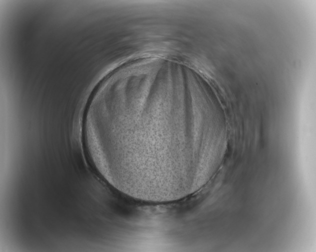 X0000088830100200706211822