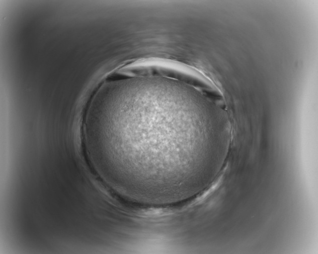 X0000088830101200706211822