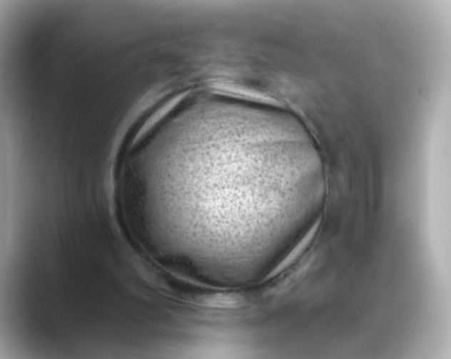 X0000088830102200706211822