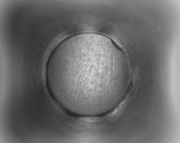 X0000088830103200706211822