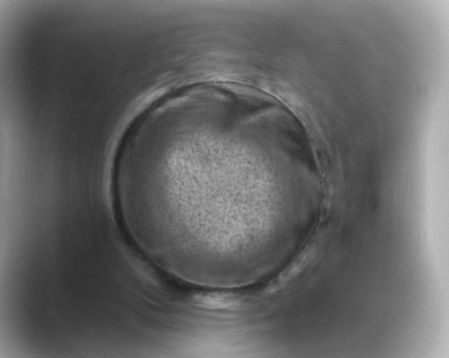 X0000088830104200706211822