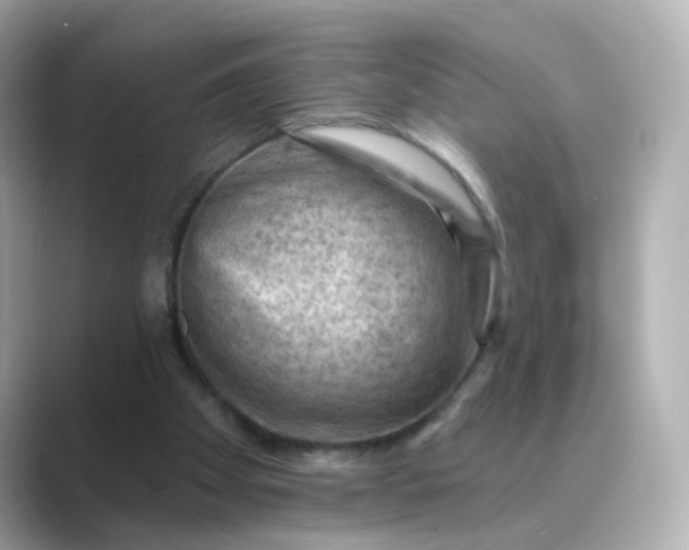 X0000088830105200706211822