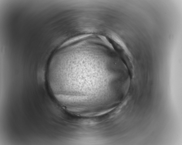 X0000088830106200706211822