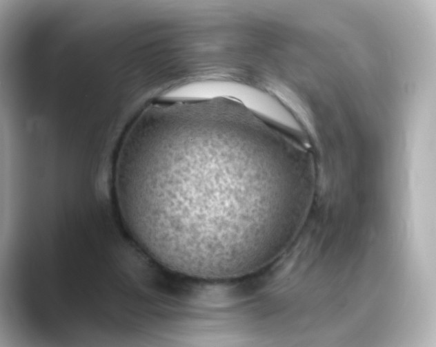 X0000088830107200706211822