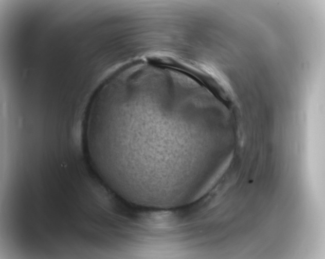 X0000088830108200706211822