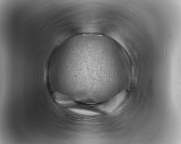 X0000088830109200706211822