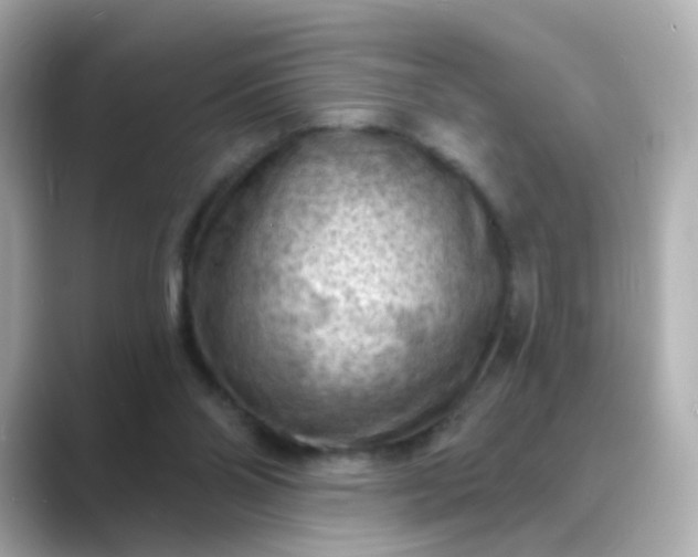 X0000088830110200706211822