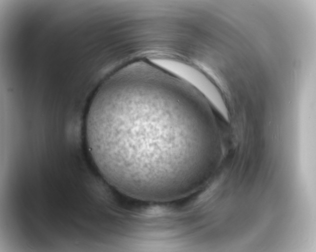 X0000088830111200706211822