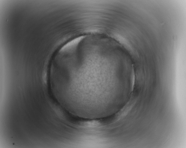 X0000088830112200706211822