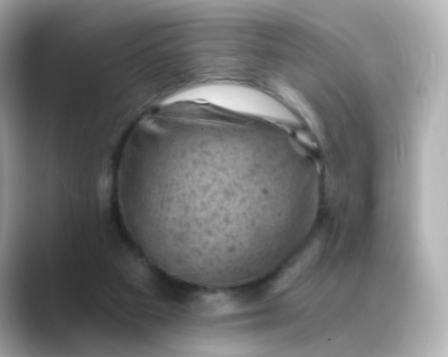 X0000088830113200706211822