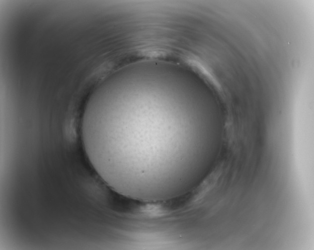 X0000088830114200706211822