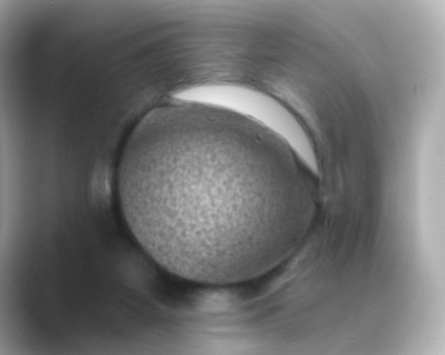 X0000088830115200706211822