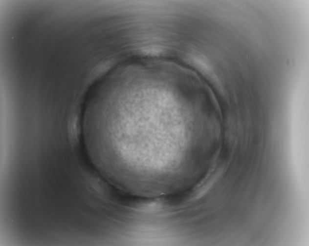 X0000088830116200706211822