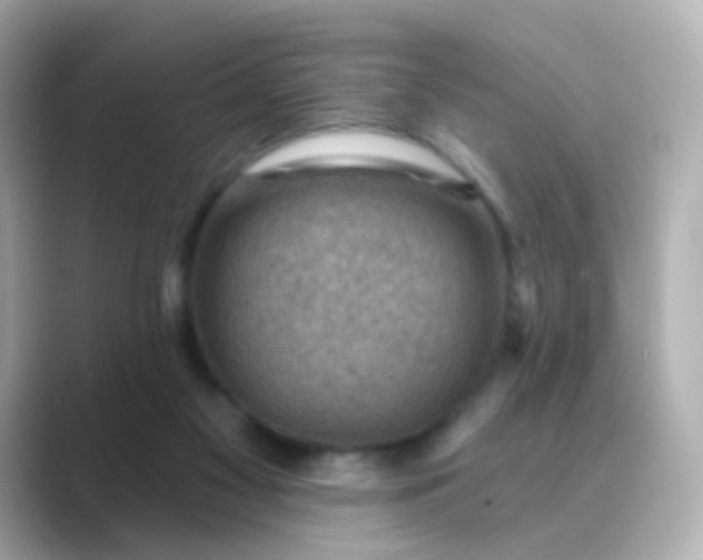 X0000088830117200706211822