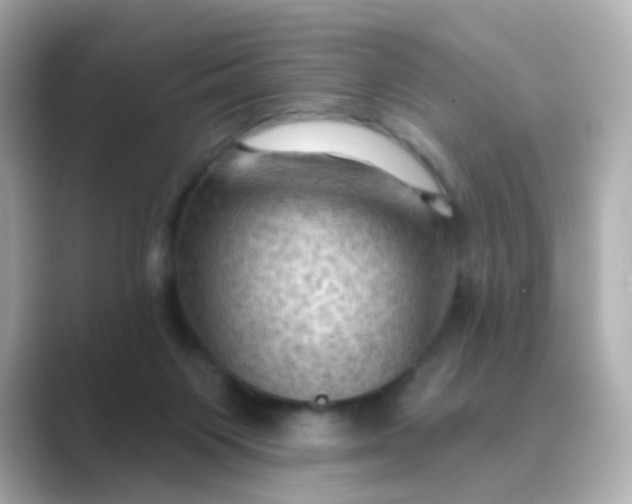 X0000088830119200706211822