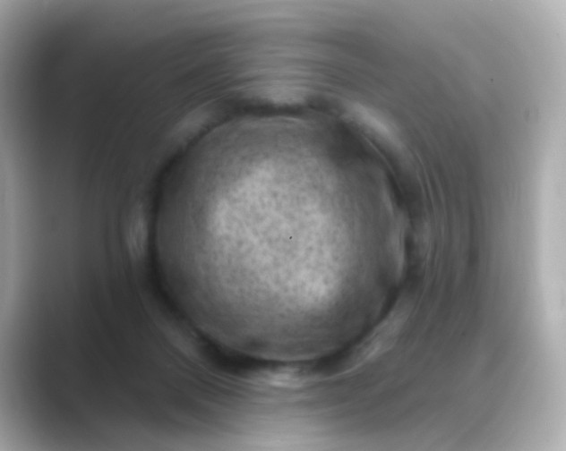 X0000088830120200706211822