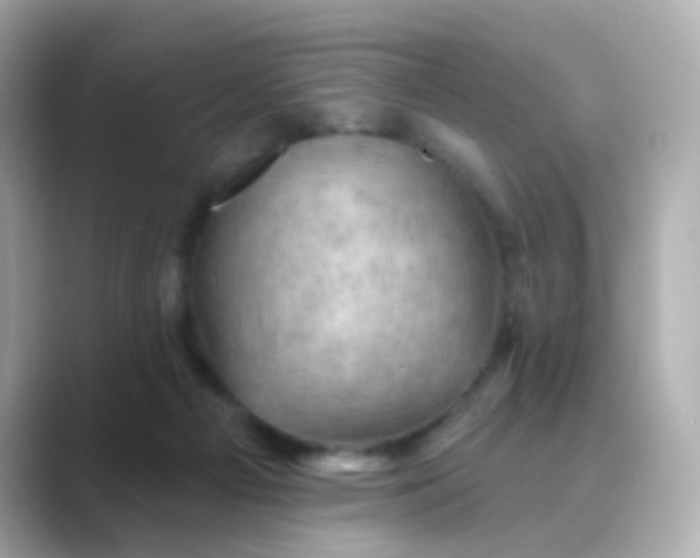 X0000088830121200706211822