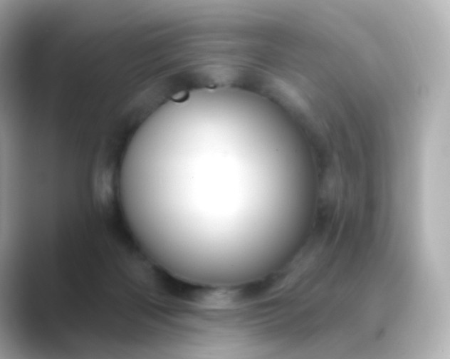 X0000088830122200706211822