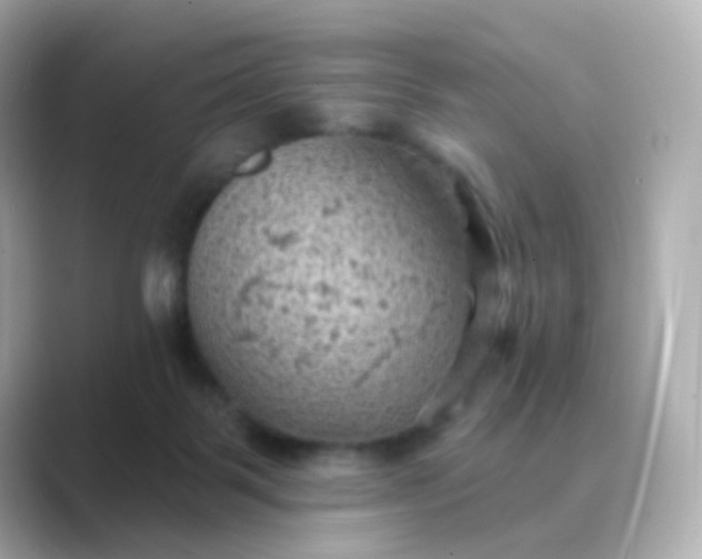 X0000088830123200706211821