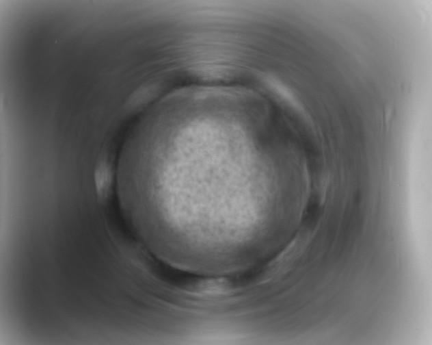 X0000088830124200706211821