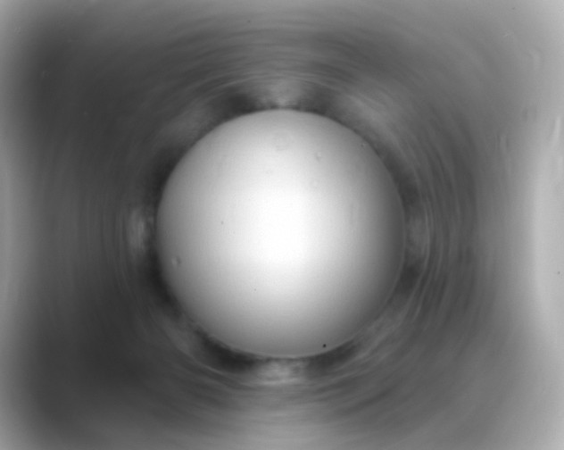 X0000088830126200706211821