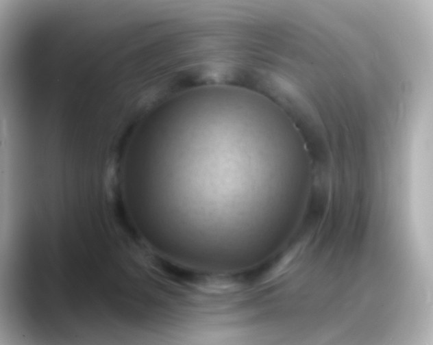 X0000088830127200706211821