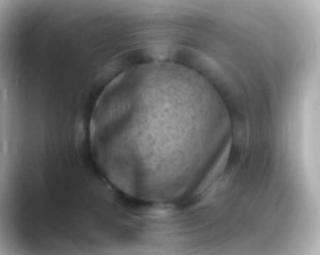 X0000088830128200706211821