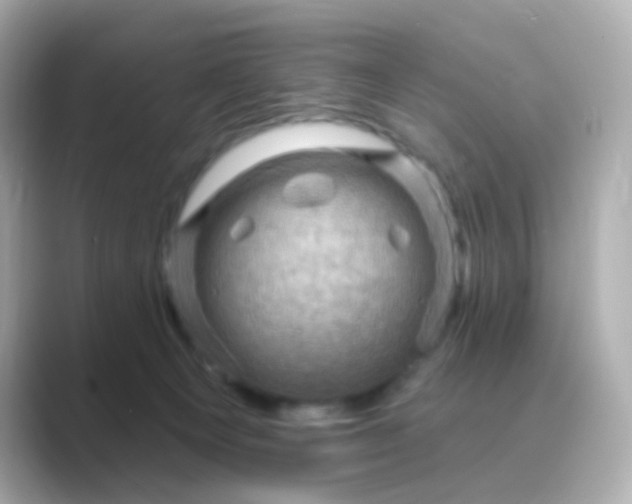 X0000088830129200706211821