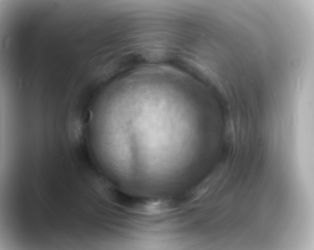 X0000088830130200706211821