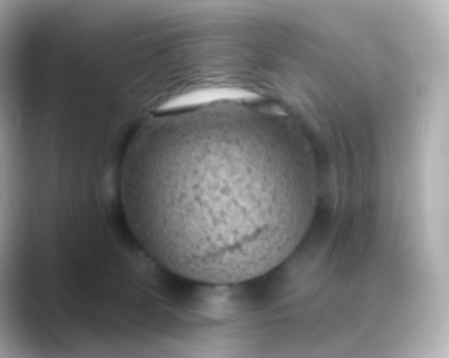 X0000088830131200706211821