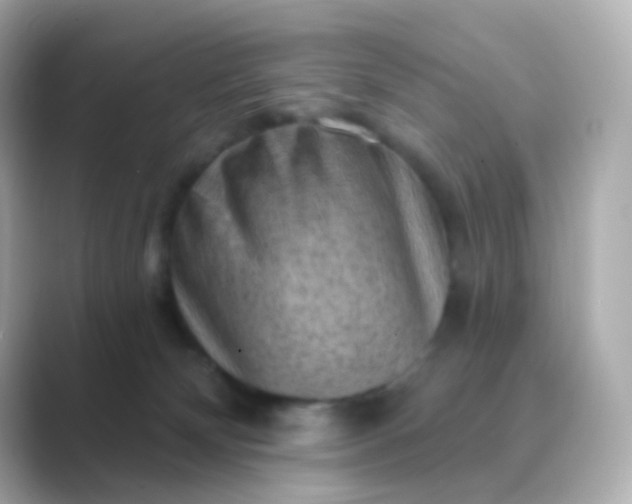 X0000088830132200706211821