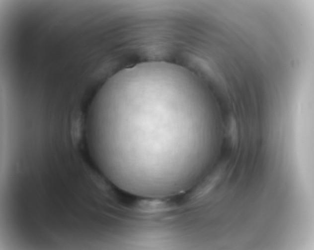 X0000088830133200706211821