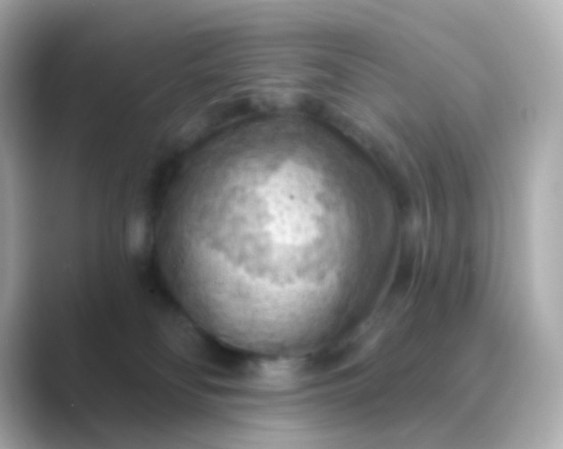 X0000088830134200706211821