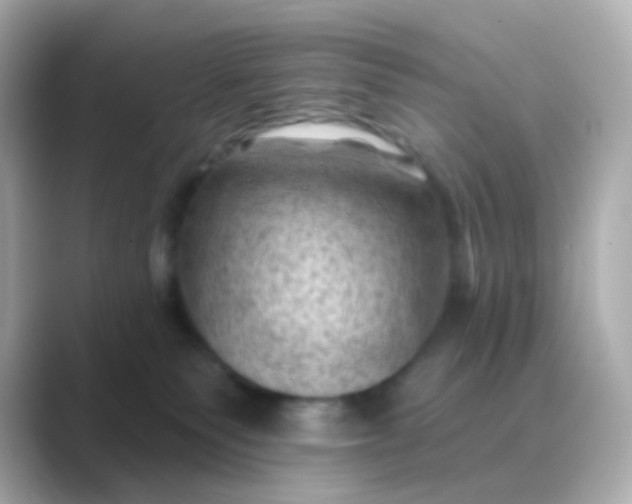 X0000088830135200706211821