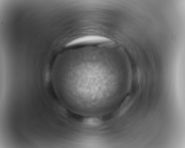 X0000088830137200706211821