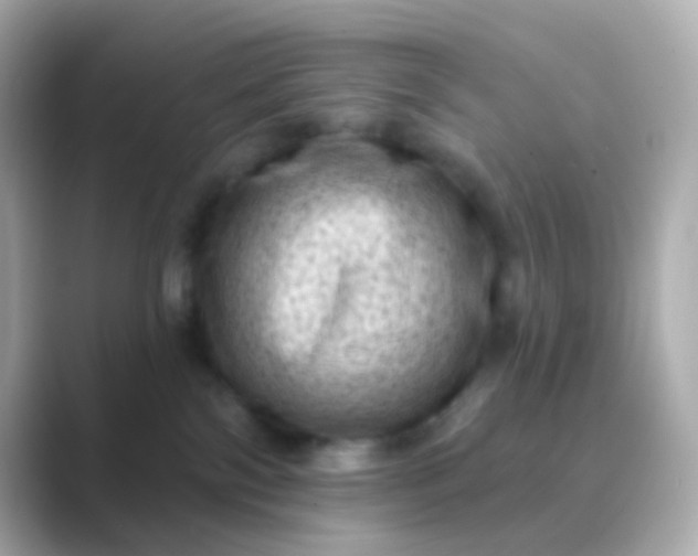 X0000088830138200706211821