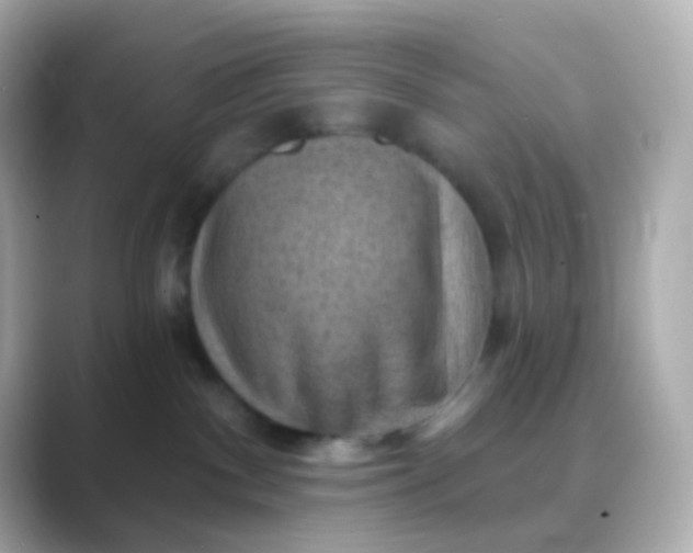 X0000088830140200706211821