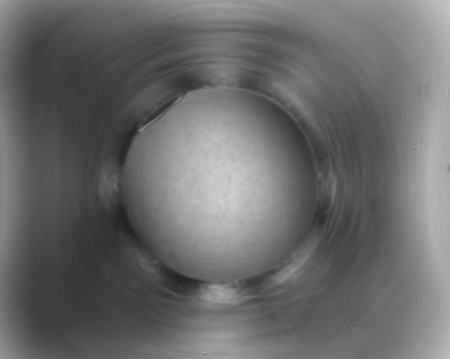 X0000088830141200706211821